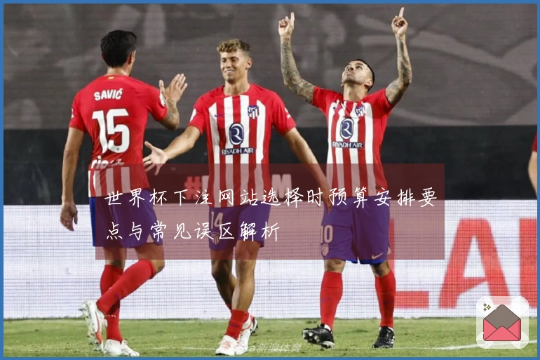 世界杯下注网站选择时预算安排要点与常见误区解析